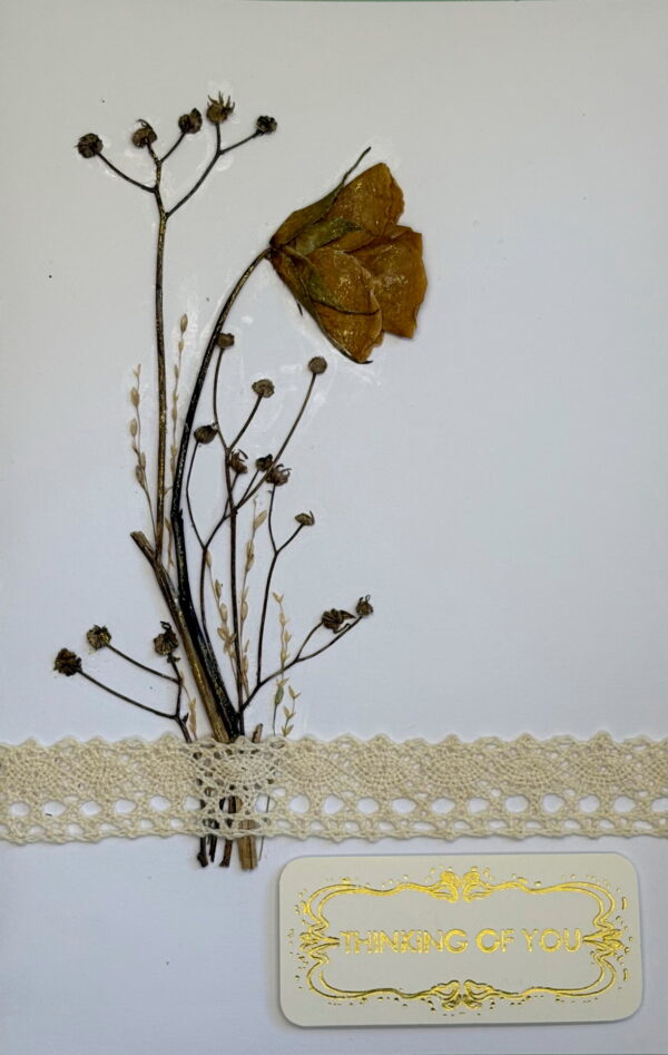 Greeting Card (N - 003)