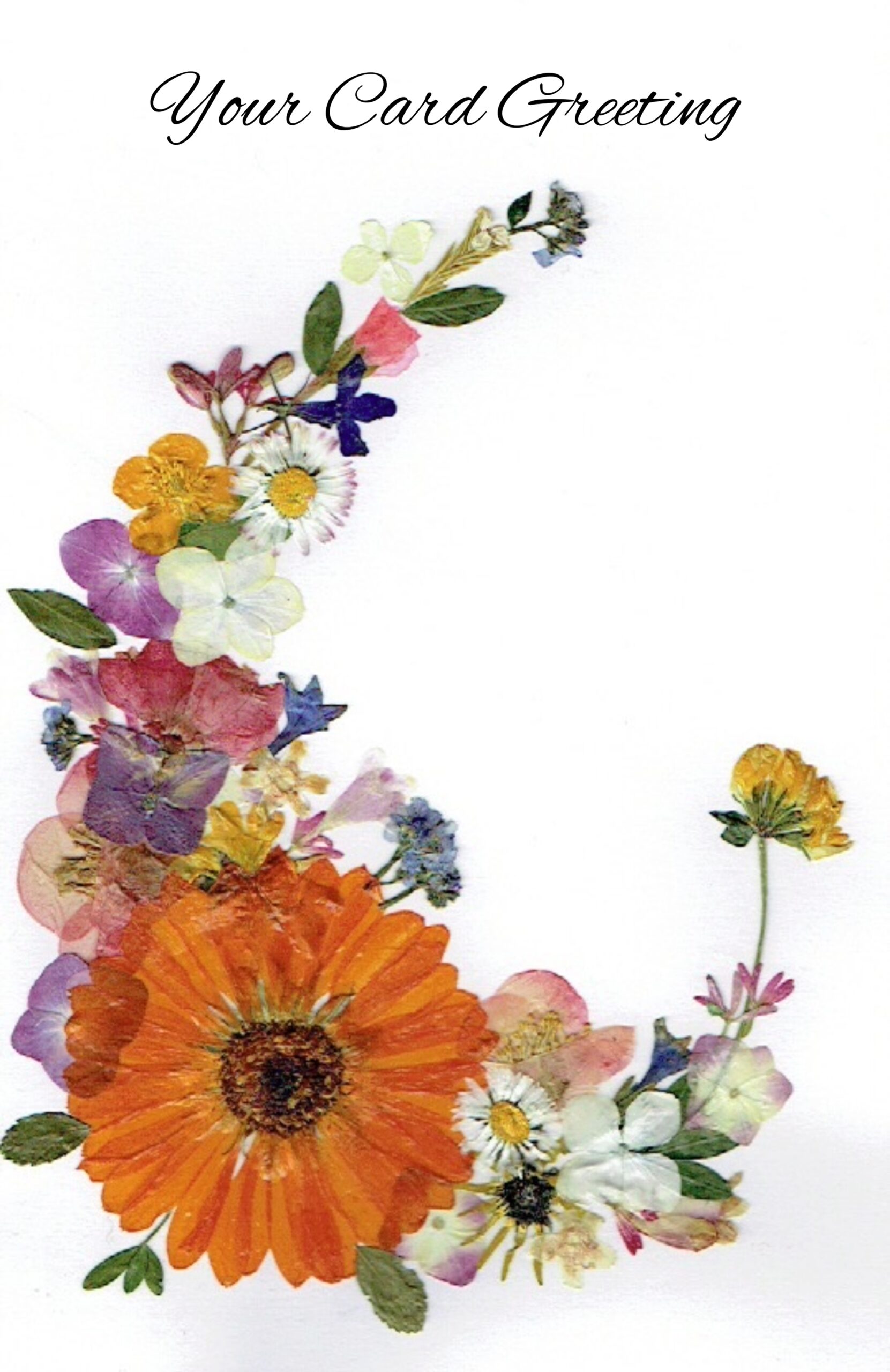 Greeting Card (N - 010)